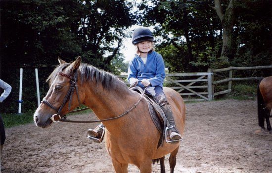 Crosswell Riding Stables