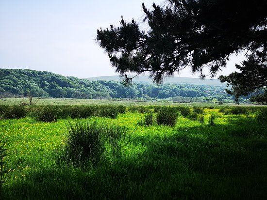 Whiteford National Nature Reserve