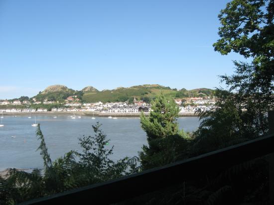 Bodlondeb Woods Local Nature Reserve