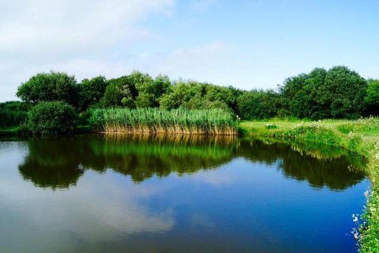 Yet-Y-Gors Campsite and Fishery Fishguard