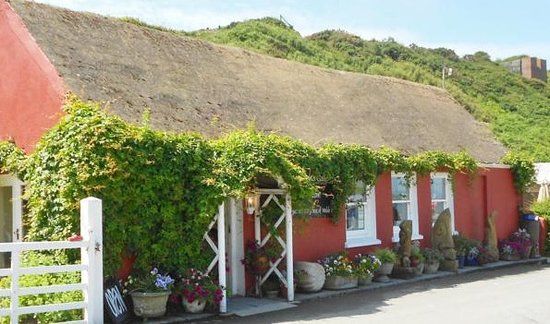 Harbour Lights Gallery