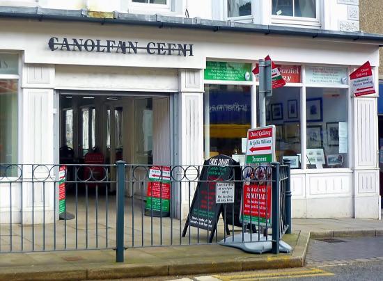 Oriel Daniel Gallery