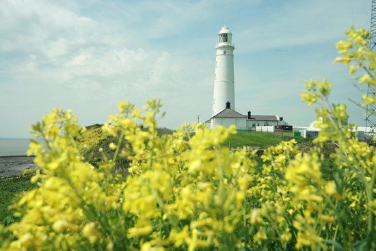 Nash Point Lighthouse