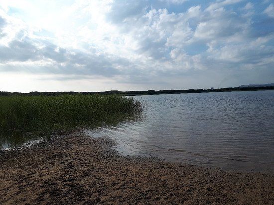 Kenfig National Nature Reserve