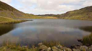 Llyn Y Manod