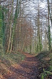 Craig Gwladys Country Park