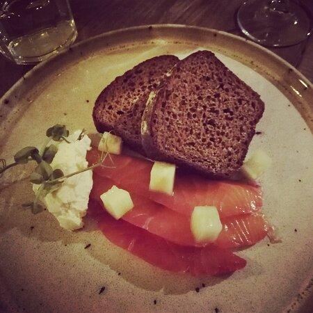 The Stubborn Duckling