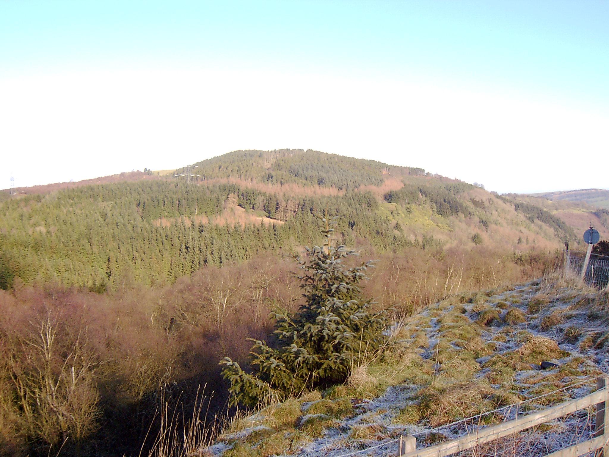 Nant-y-Ffrith