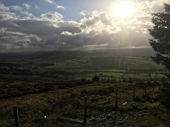 Coed Llandegla Forest