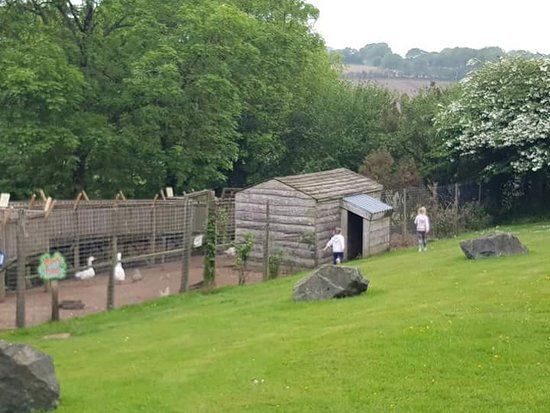 Clerkenhill Adventure Farm and Frizbee Golf Course