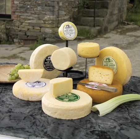 PantMawr Farmhouse Cheese