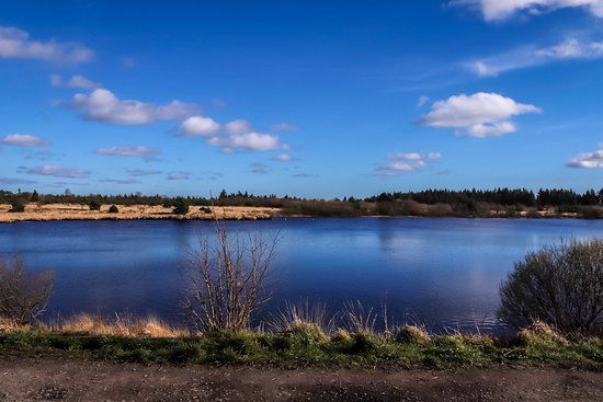 Llyn Llech Owain Country Park