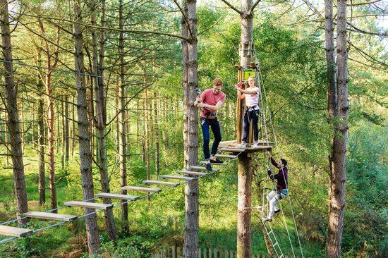 Go Ape Margam