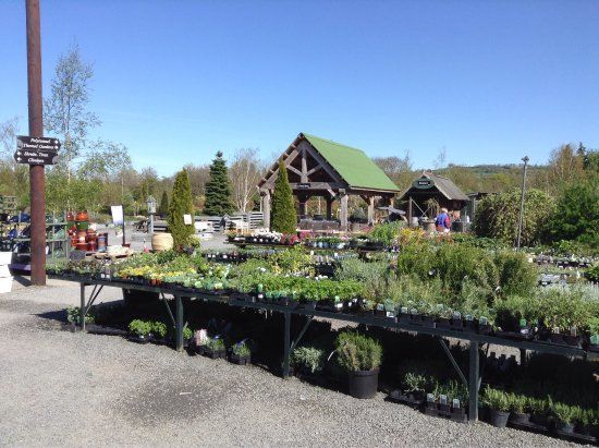 Derwen Garden Centre & Farm Shop