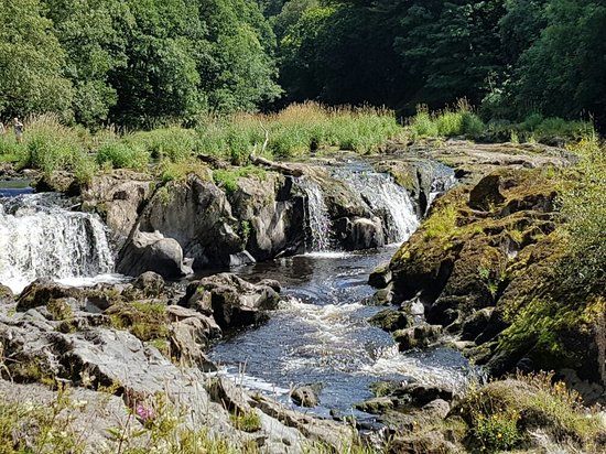 Cenarth Falls and Car Park