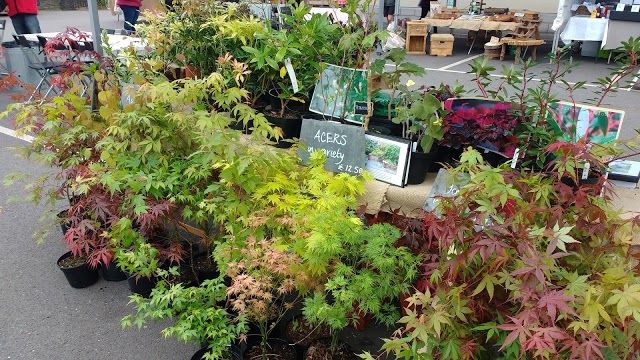 Roath Farmers Market