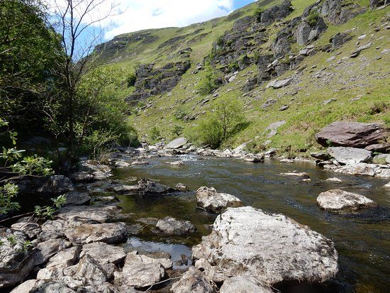 Gwenffrwd-Dinas Nature Reserve