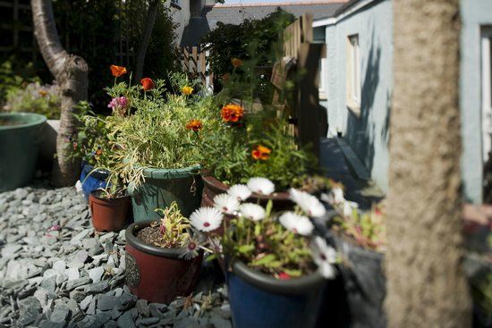 The Globe and Cegin Morris