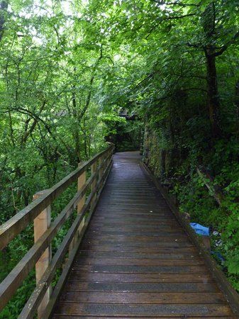 The Dingle Nature Reserve