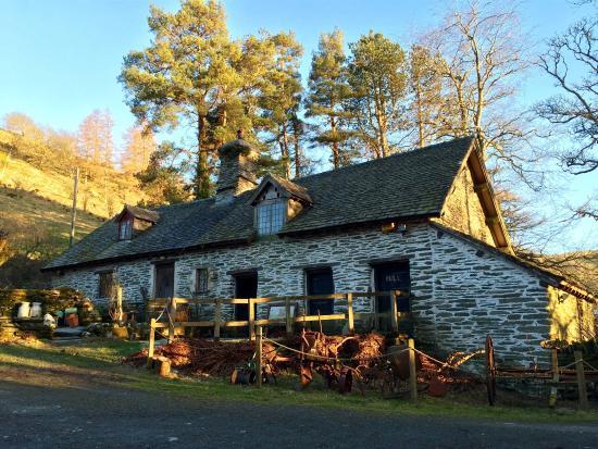 Gilfach Nature Reserve