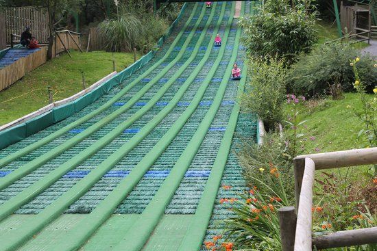 GreenWood Family Park