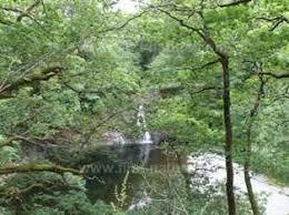 Ceunant Llennyrch National Nature Reserve