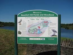 Beaufort Hill Ponds And Woodlands