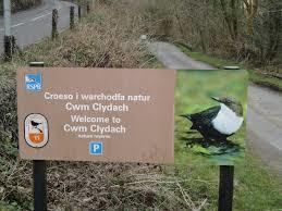 RSPB Cwm Clydach