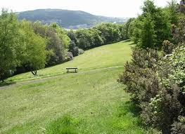 Parc Llewelyn