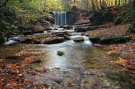 Nant Mill Visitor Centre